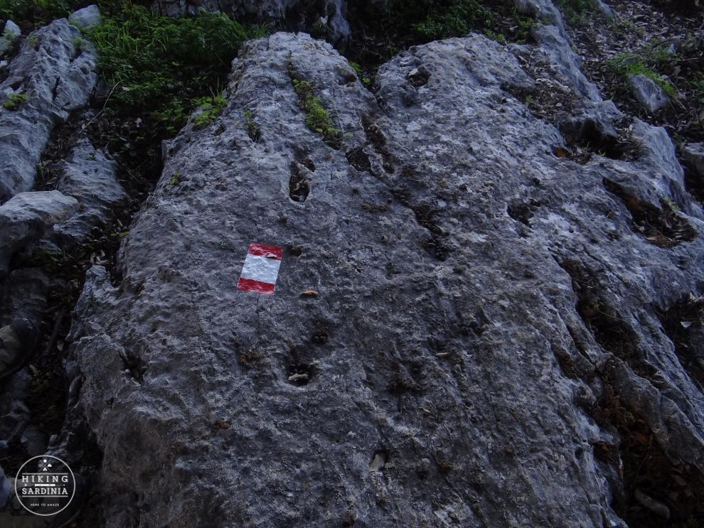 Corrasi-Lanaitho_10_Cuili-40