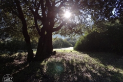 Corrasi-Lanaitho_10_Cuili-1