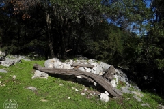 Corrasi-Lanaitho_10_Cuili-18