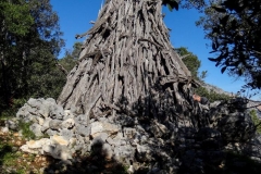 Corrasi-Lanaitho_10_Cuili-25