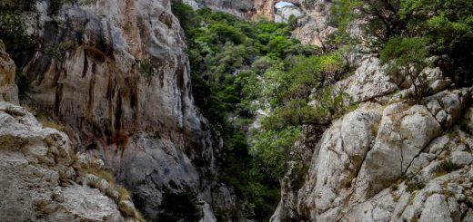 BACU MAORE – PORTU CUAU – PORTO PEDROSU – CUILE ELTIERA